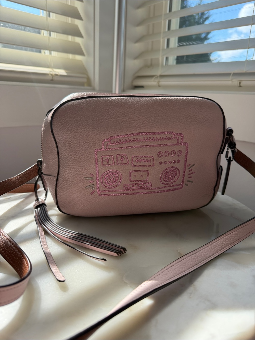 NWOT Coach x Keith Haring Boombox Camera Bag [limited edition]